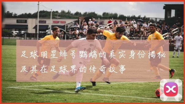 足球明星绰号鹦鹉的真实身份揭秘及其在足球界的传奇故事