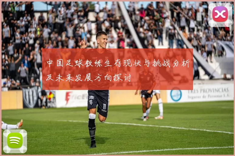 中国足球教练生存现状与挑战分析及未来发展方向探讨