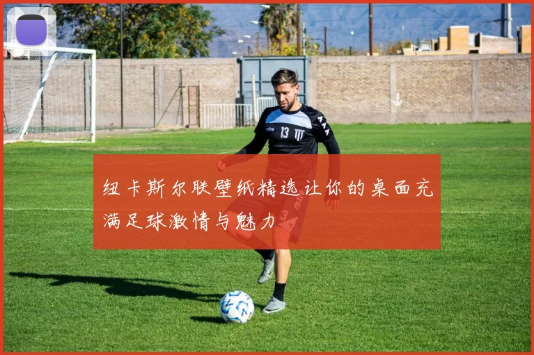 纽卡斯尔联壁纸精选让你的桌面充满足球激情与魅力