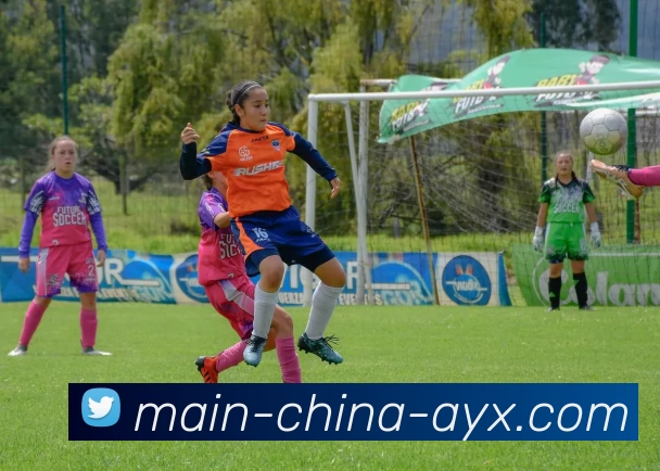 爱游戏平台生态图